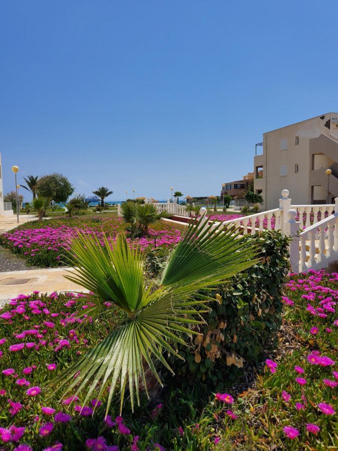 Duplex Espectacular En Primera Linea Naturista! Las Bombardas 외부 사진